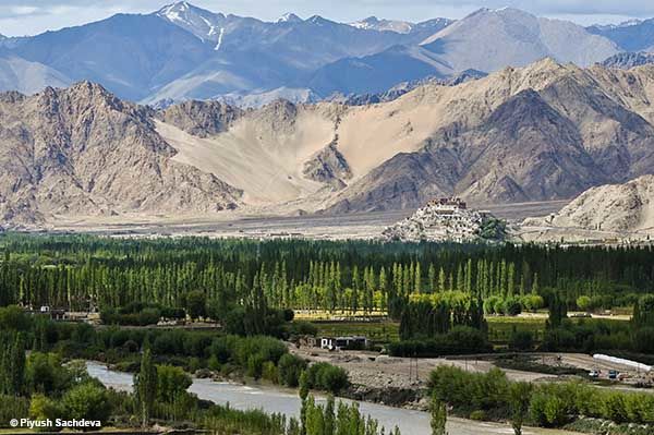 Photo of Famous monasteries in Leh, Ladakh - Chapter 4 26/34 by A Mango Traveler
