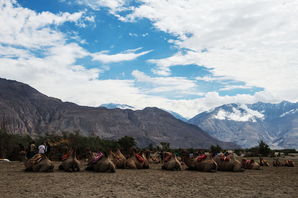 Photo of Panamic hot spring & Hunder, Nubra Valley, Ladakh - Chapter 7 17/25 by A Mango Traveler