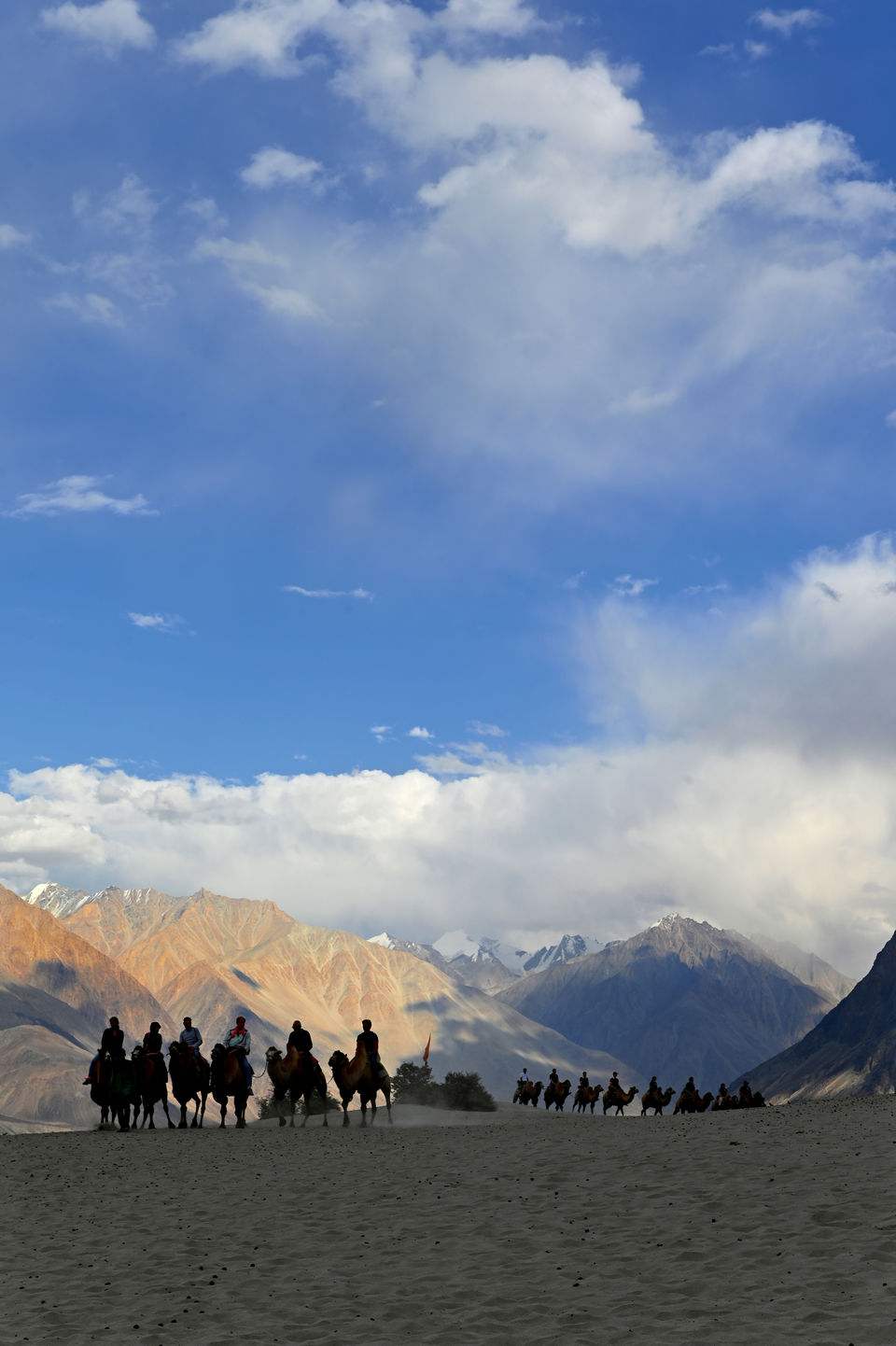 Photo of Panamic hot spring & Hunder, Nubra Valley, Ladakh - Chapter 7 20/25 by A Mango Traveler