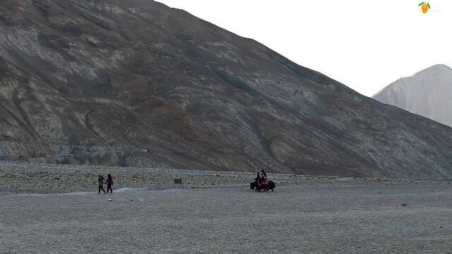 Photo of Pangong Lake - Ladakh Road trip - Chapter 8 25/39 by A Mango Traveler