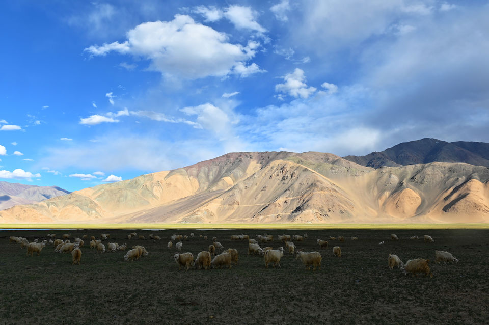 Photo of Hanle - Ladakh road trip - Chapter 9 17/36 by A Mango Traveler