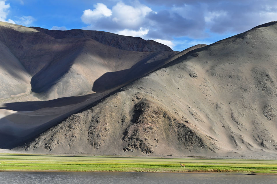 Photo of Hanle - Ladakh road trip - Chapter 9 18/36 by A Mango Traveler