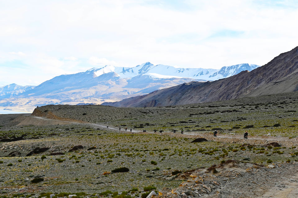 Photo of Tso-moriri lake, Ladakh road trip - Chapter 10 16/40 by A Mango Traveler