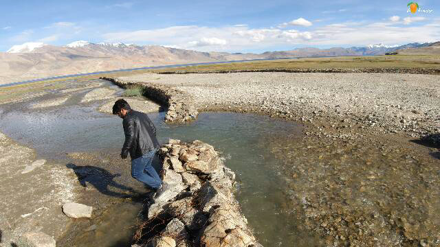 Photo of Tso-moriri lake, Ladakh road trip - Chapter 10 31/40 by A Mango Traveler