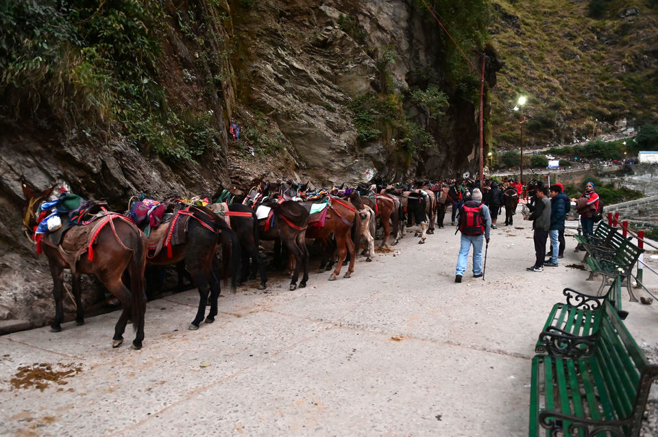 Photo of All about Shri Kedarnath trek - Episode 2 3/20 by A Mango Traveler
