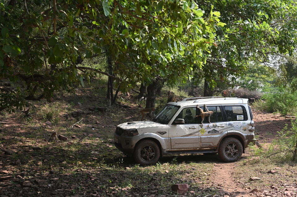 Photo of 4 Off-beat Locations Near Agra you wouldn't have heard of 5/28 by A Mango Traveler