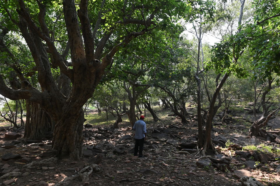 Photo of 4 Off-beat Locations Near Agra you wouldn't have heard of 6/28 by A Mango Traveler