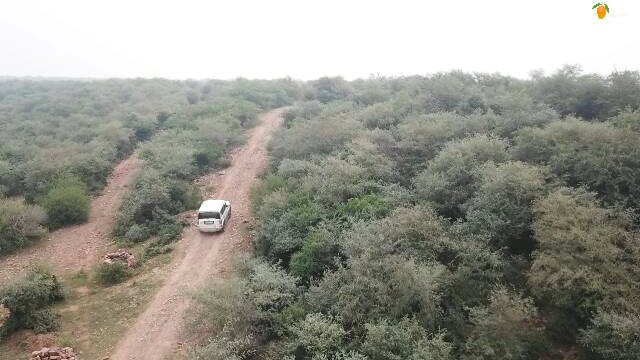 Photo of 4 Off-beat Locations Near Agra you wouldn't have heard of 23/28 by A Mango Traveler