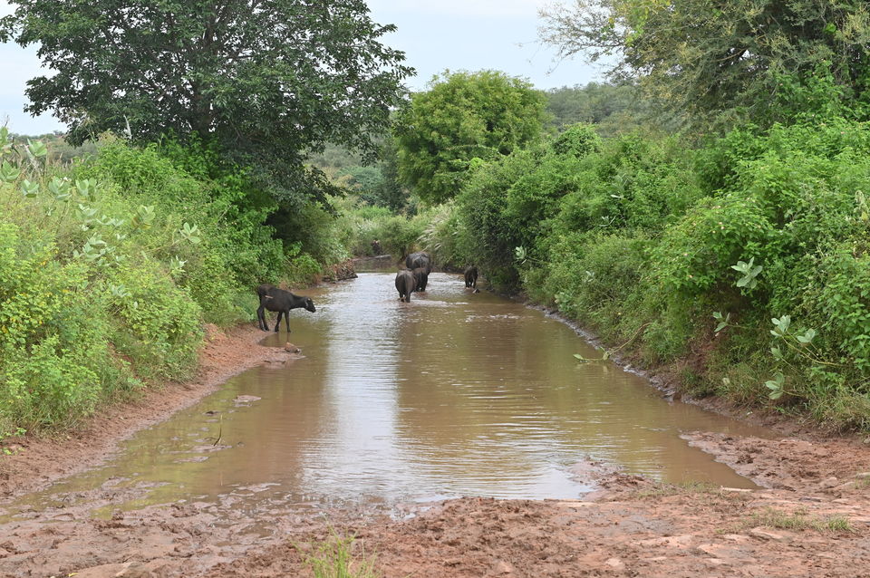 Photo of 4 Off-beat Locations Near Agra you wouldn't have heard of 4/28 by A Mango Traveler