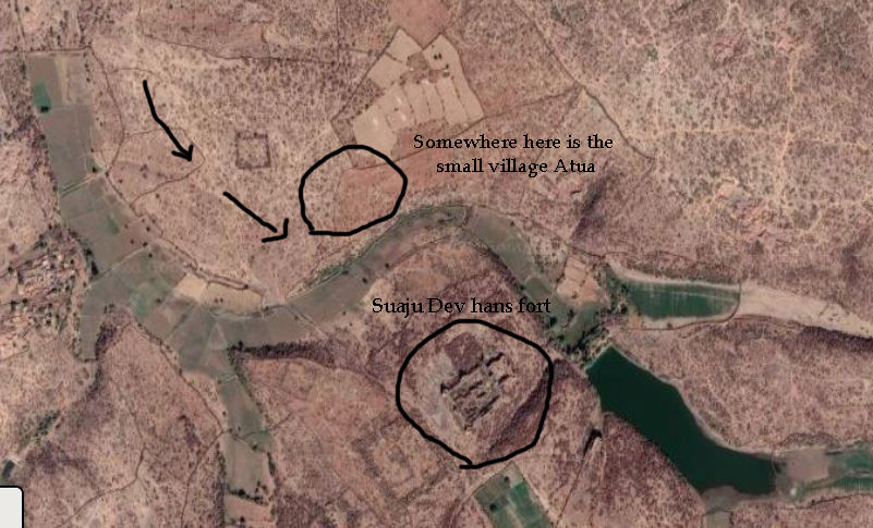 Photo of Discovering The Ruins of Suaju Dev Hans Ka Kila 20/20 by A Mango Traveler