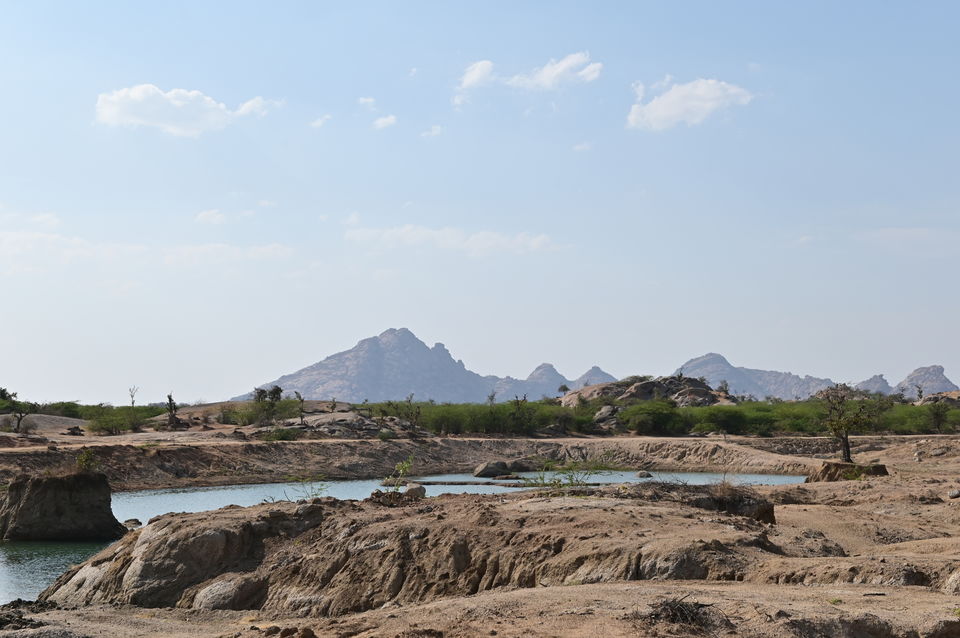 Photo of Experience the Rocky Jungle of Jawai Bandh Leopard Conservation Reserve 3/27 by A Mango Traveler