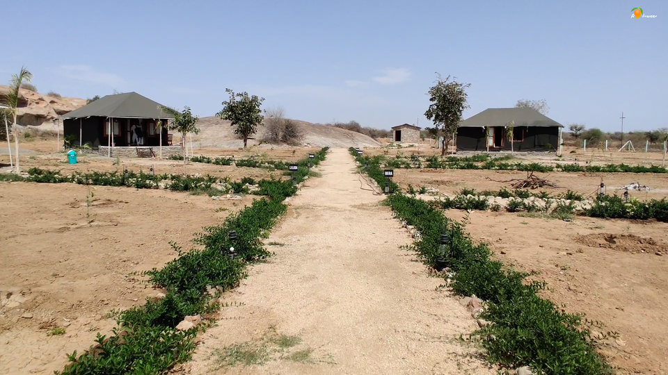 Photo of Experience the Rocky Jungle of Jawai Bandh Leopard Conservation Reserve 24/27 by A Mango Traveler
