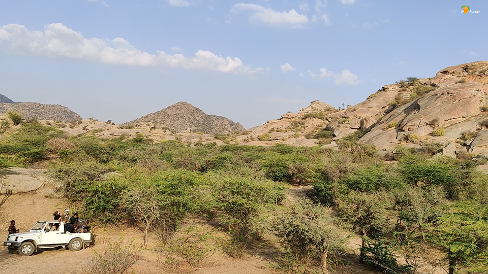 Photo of Experience the Rocky Jungle of Jawai Bandh Leopard Conservation Reserve 16/27 by A Mango Traveler