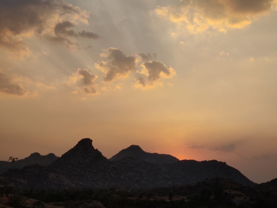 Photo of Experience the Rocky Jungle of Jawai Bandh Leopard Conservation Reserve 12/27 by A Mango Traveler