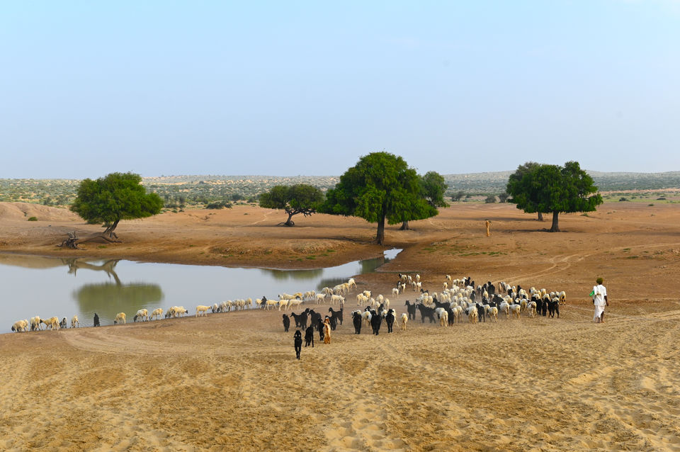 Photo of The raw desert of village Khuri, Jaisalmer 5/15 by A Mango Traveler