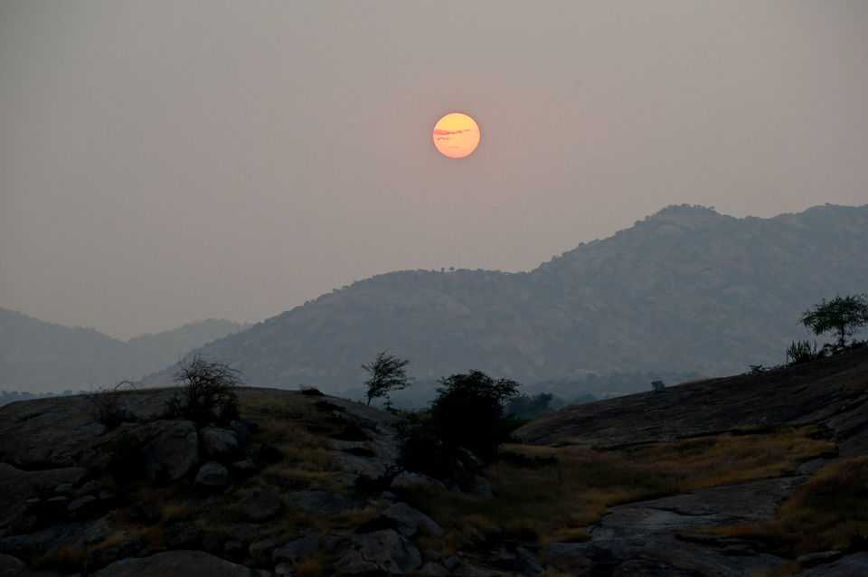 Photo of Leopards of Jawai Bandh (Bera), Rajasthan 1/11 by A Mango Traveler