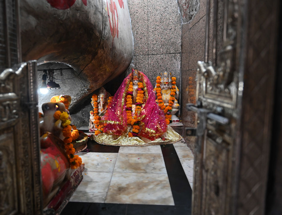 Photo of जवाई बांध के जंगल 8/12 by A Mango Traveler