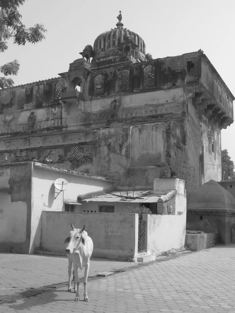Photo of Orchha State, Madhya Pradesh, India by art_factor