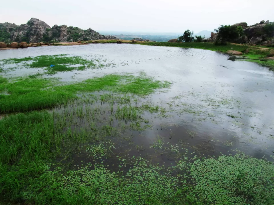Photo of Datia, Madhya Pradesh, India by art_factor