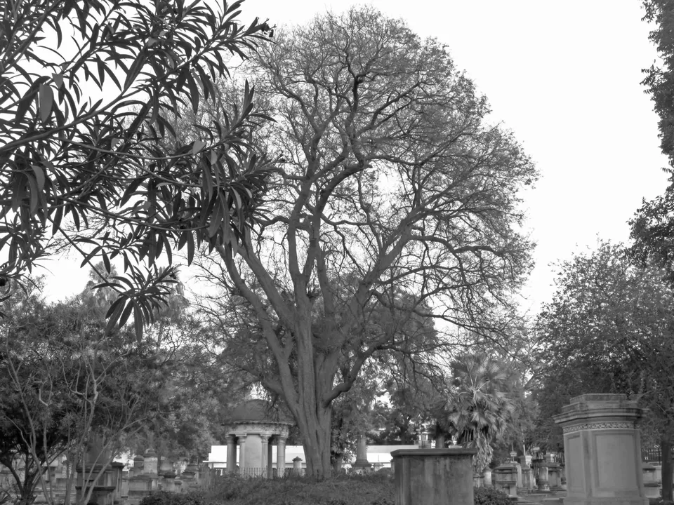 Photo of Kanpur, Uttar Pradesh, India by art_factor