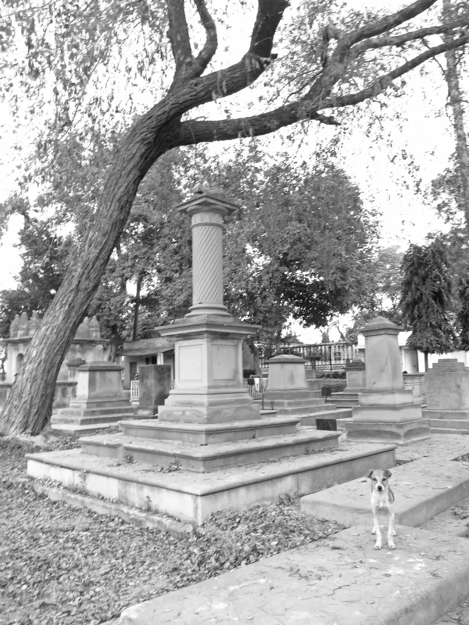 Photo of Kanpur, Uttar Pradesh, India by art_factor