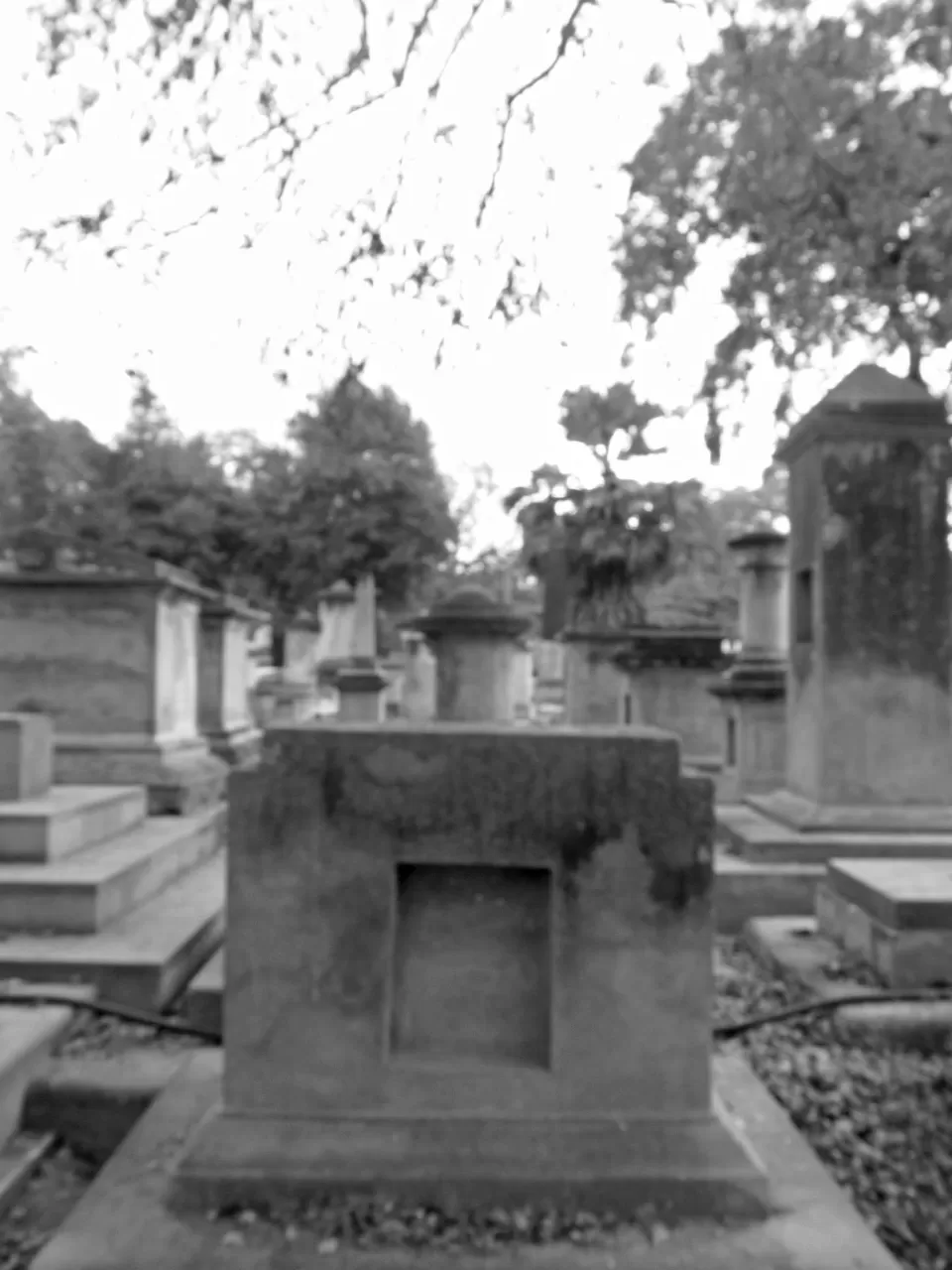 Photo of Kanpur, Uttar Pradesh, India by art_factor