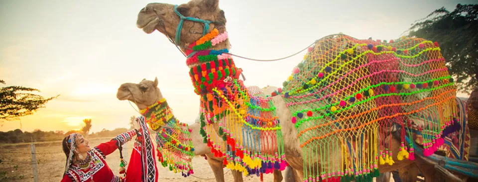 Photo of Pushkar, Rajasthan, India by State Express