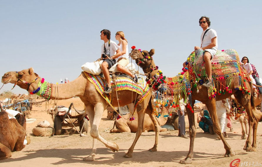 Photo of Pushkar Camel Fair Tour 2019- A Celebration Of Culture And Traditions by State Express