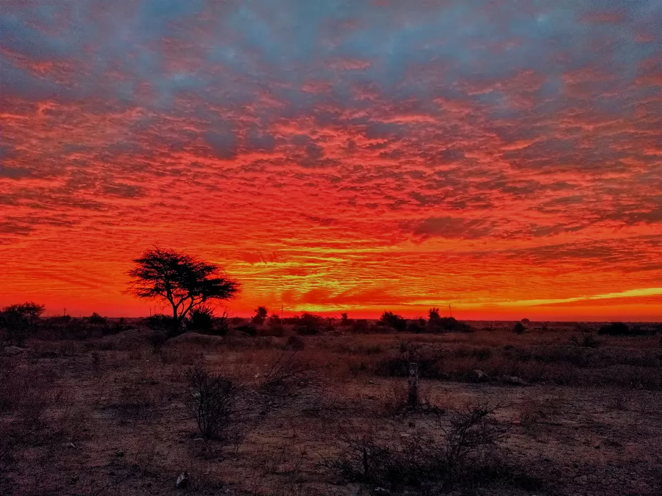 Photo of Rajasthan, India by Abhilash