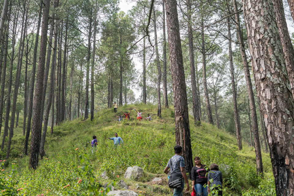 Photo of Relive the history in this serene abode amidst mighty Himalayas 3/3 by Naveen Meena