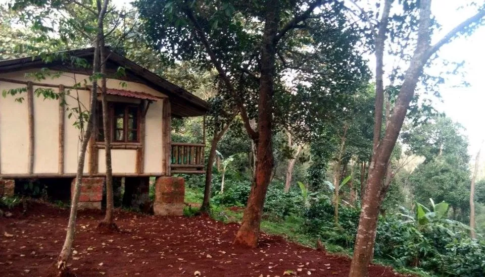 Photo of Sakleshpur, Karnataka, India by Naveen Meena
