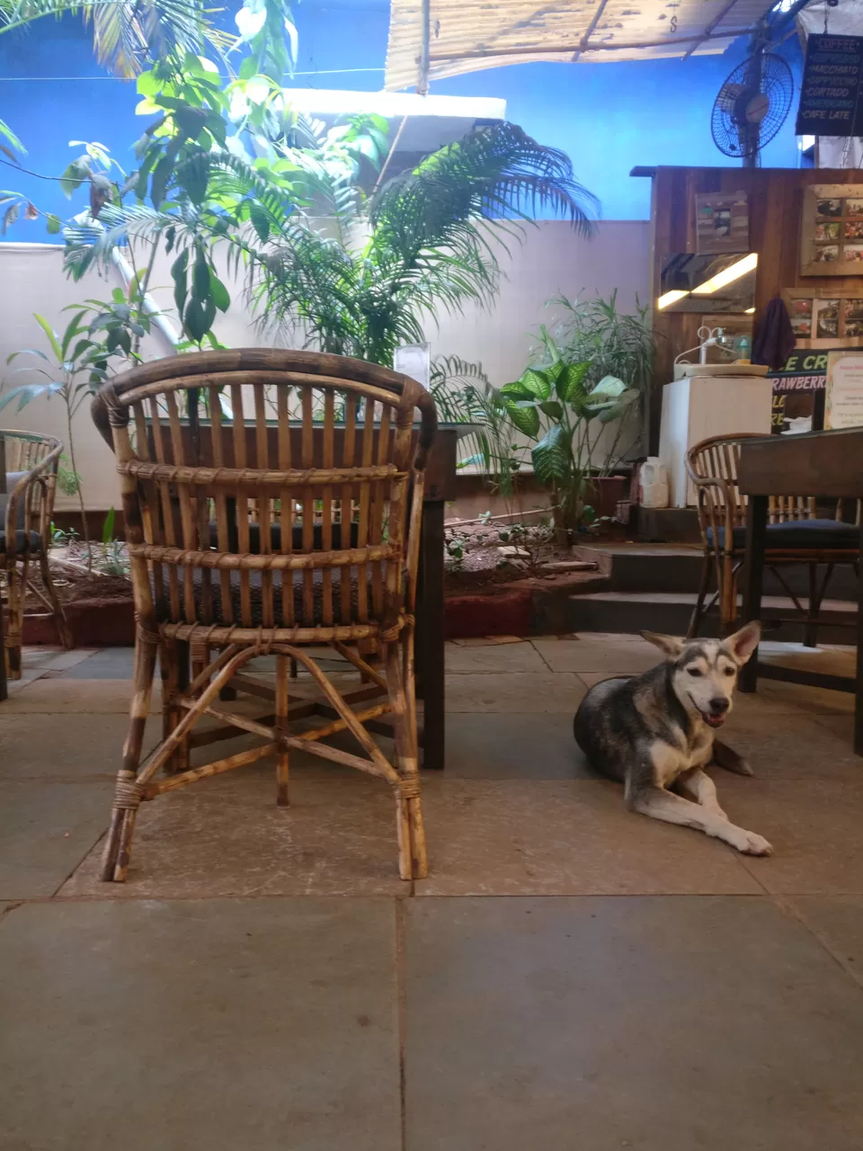 Photo of Artjuna, Market Road, Monteiro Vaddo, Anjuna, Goa, India by Pooja Paliwal
