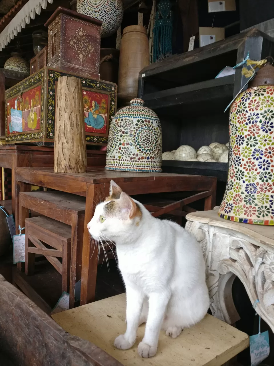 Photo of Artjuna, Market Road, Monteiro Vaddo, Anjuna, Goa, India by Pooja Paliwal