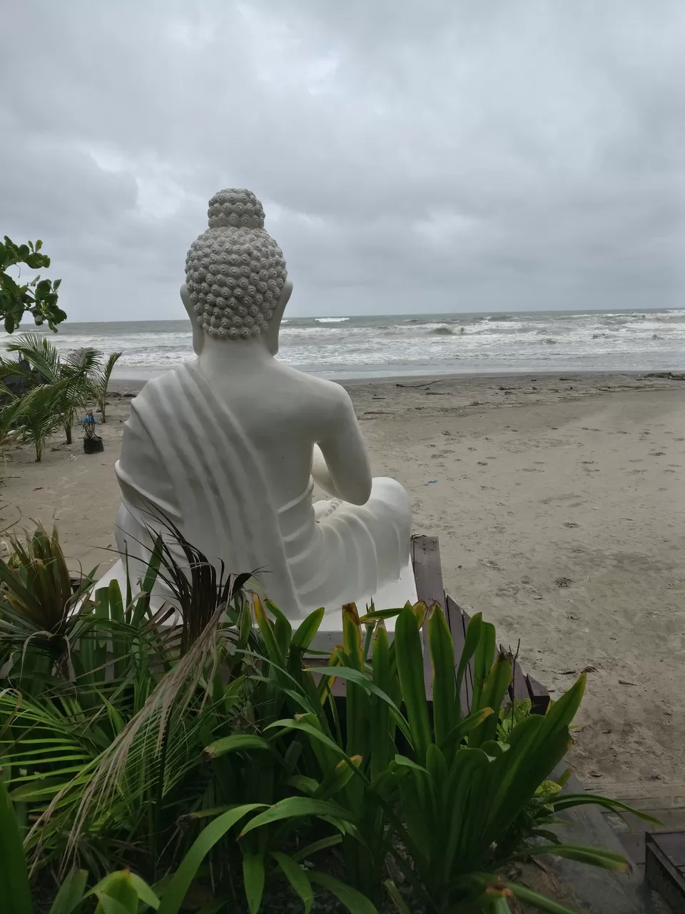 Photo of Sinq Beach Resort Morjim, Morjim, Goa, India by Pooja Paliwal