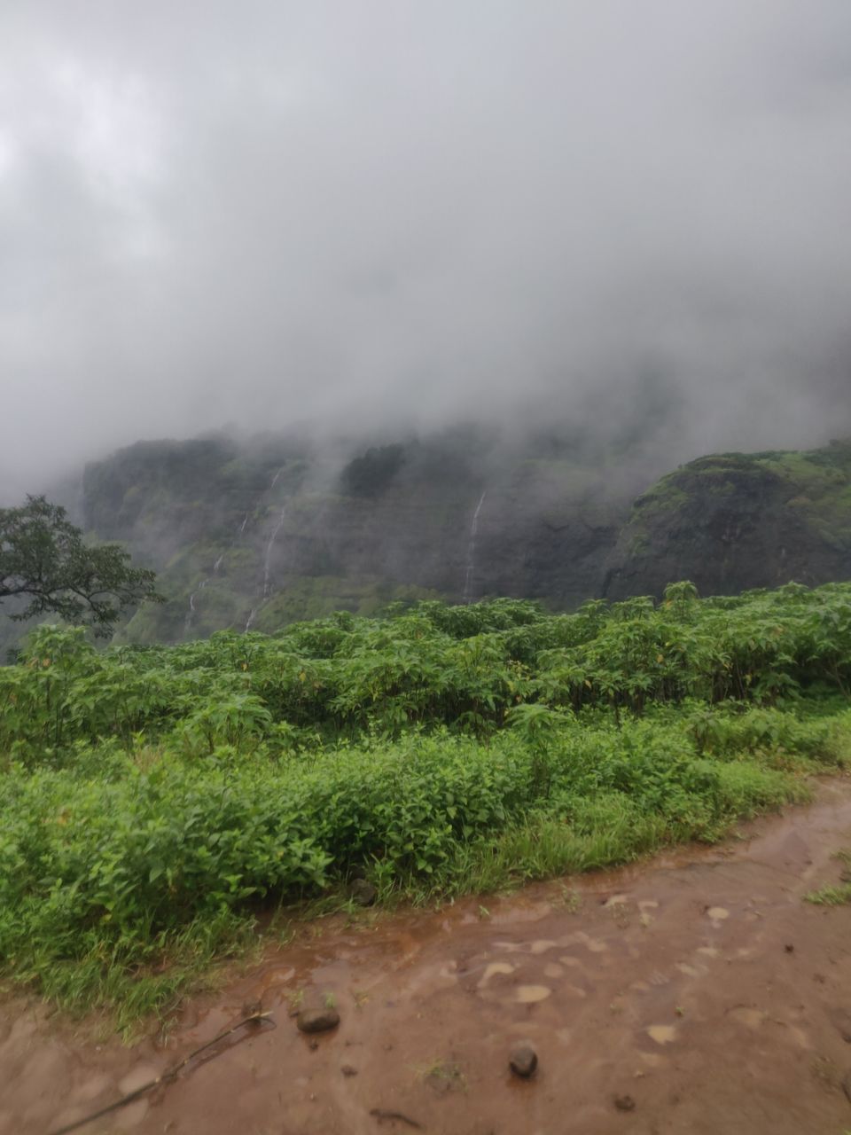 Photo of Harishchandra Gad 15-16/08/2021 by Nikhil Sanas Niks