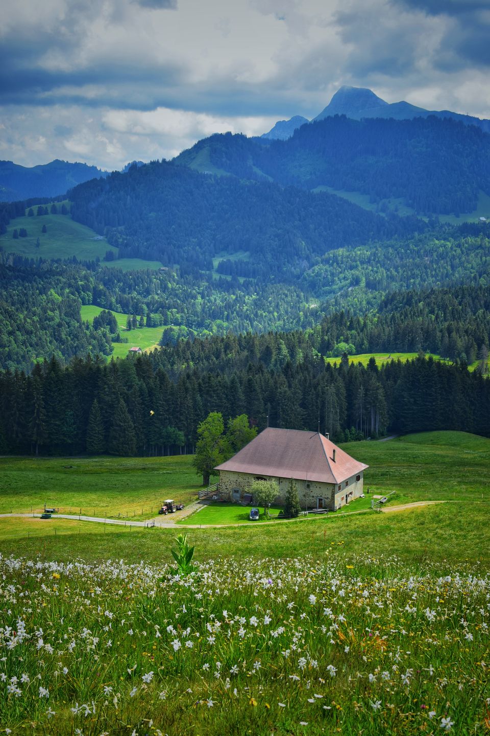 Photo of A hike through the Valley of Flowers of Switzerland by Aswathy & Sarath