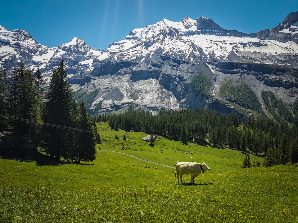 Photo of Ditch the Tourist Circuit and visit the places that the locals love in Switzerland by Aswathy & Sarath