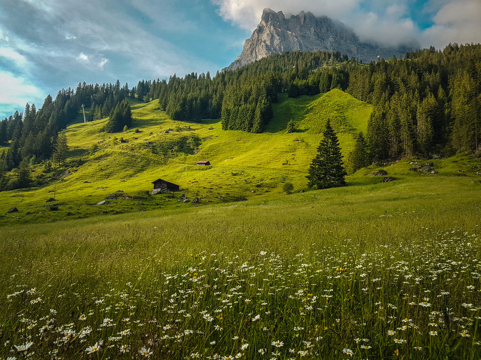 Photo of Ditch the Tourist Circuit and visit the places that the locals love in Switzerland by Aswathy & Sarath