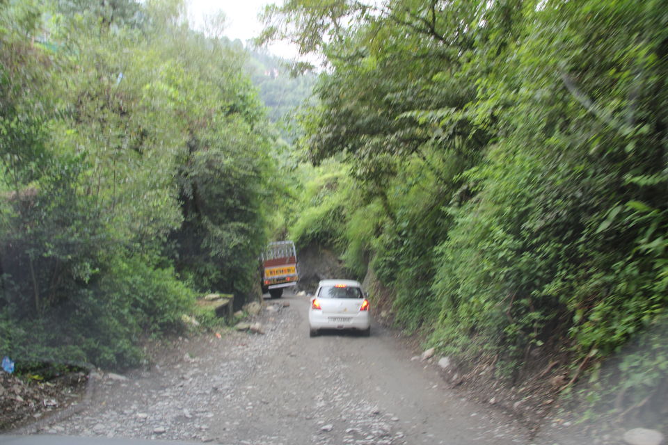 Photo of Narkanda – Through the trails of hills, rains, nature 6/49 by Nitin Sharma