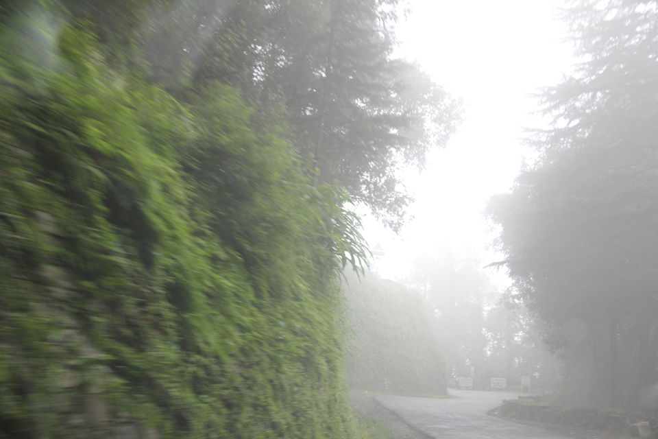 Photo of Narkanda – Through the trails of hills, rains, nature 8/49 by Nitin Sharma