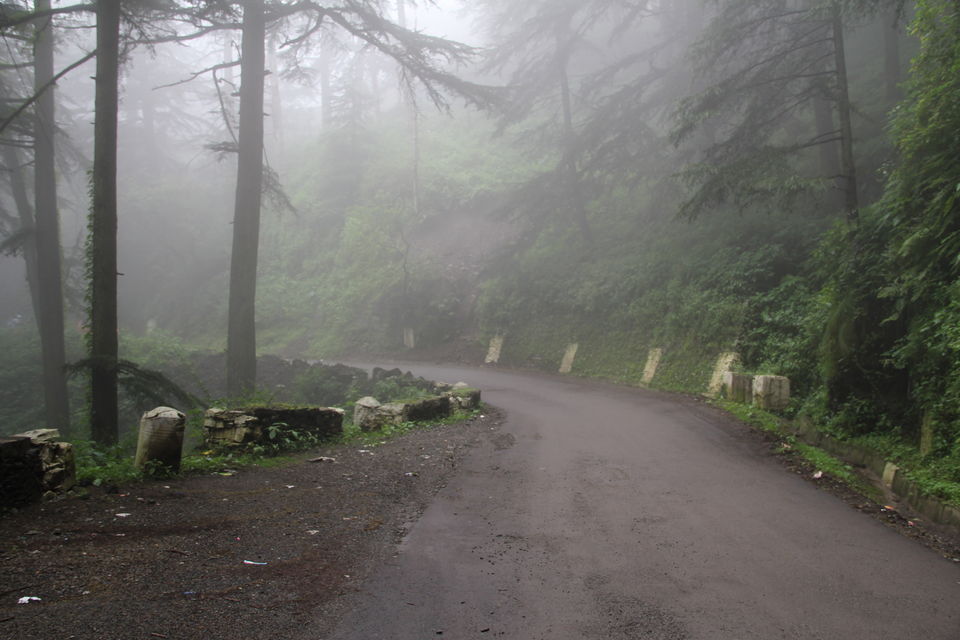 Photo of Narkanda – Through the trails of hills, rains, nature 9/49 by Nitin Sharma
