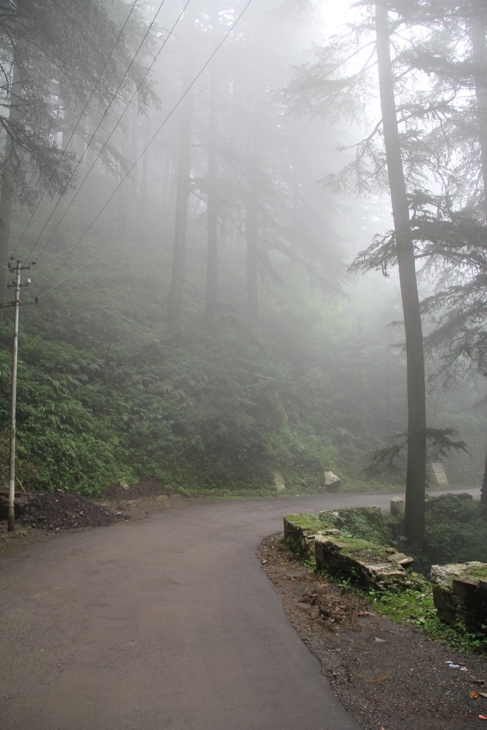 Photo of Narkanda – Through the trails of hills, rains, nature 10/49 by Nitin Sharma