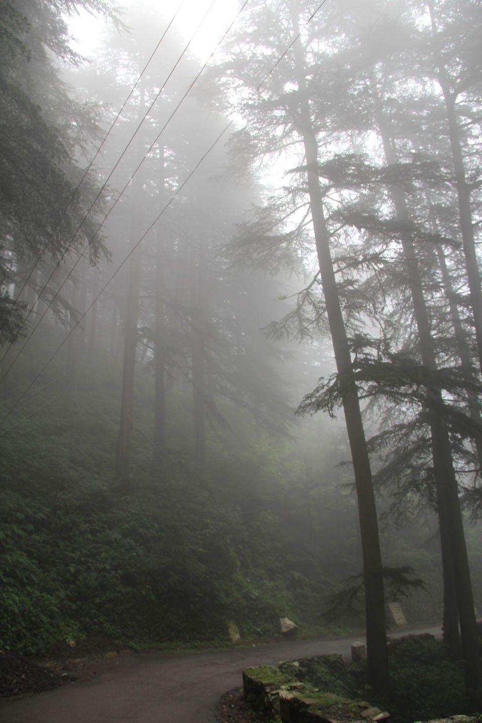 Photo of Narkanda – Through the trails of hills, rains, nature 11/49 by Nitin Sharma