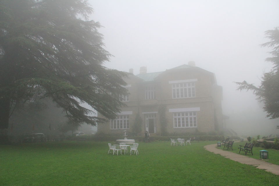 Photo of Narkanda – Through the trails of hills, rains, nature 13/49 by Nitin Sharma