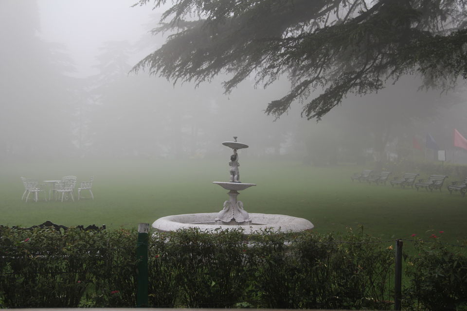 Photo of Narkanda – Through the trails of hills, rains, nature 17/49 by Nitin Sharma