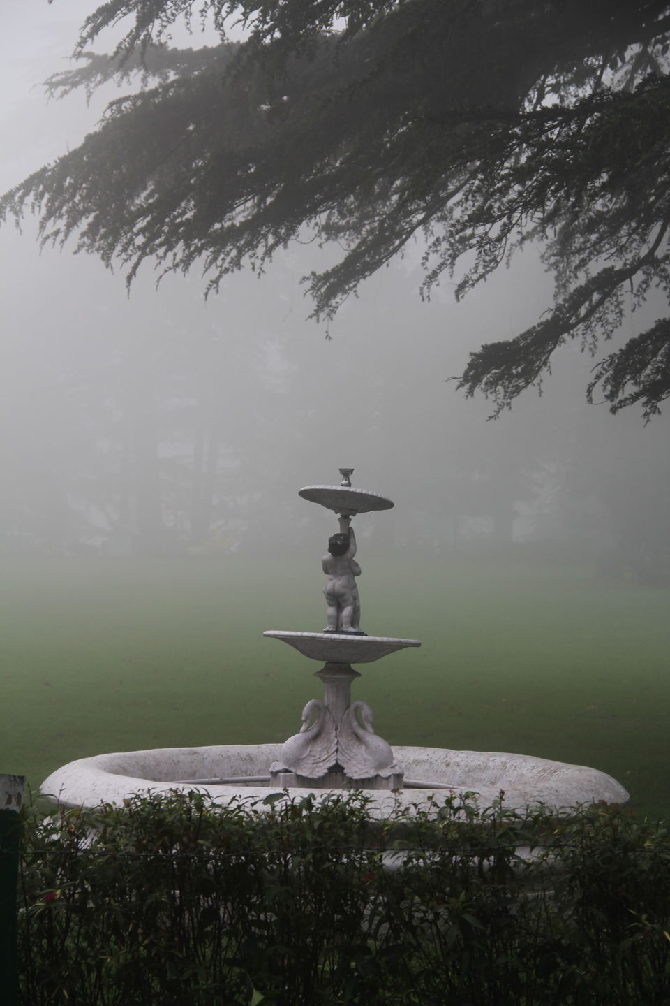 Photo of Narkanda – Through the trails of hills, rains, nature 18/49 by Nitin Sharma