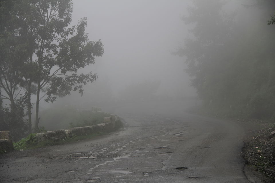 Photo of Narkanda – Through the trails of hills, rains, nature 19/49 by Nitin Sharma