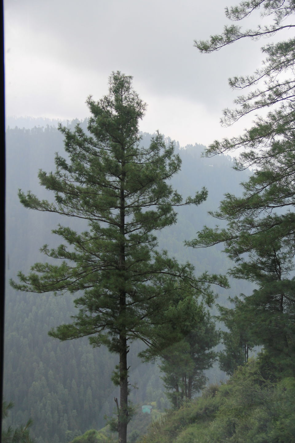 Photo of Narkanda – Through the trails of hills, rains, nature 23/49 by Nitin Sharma