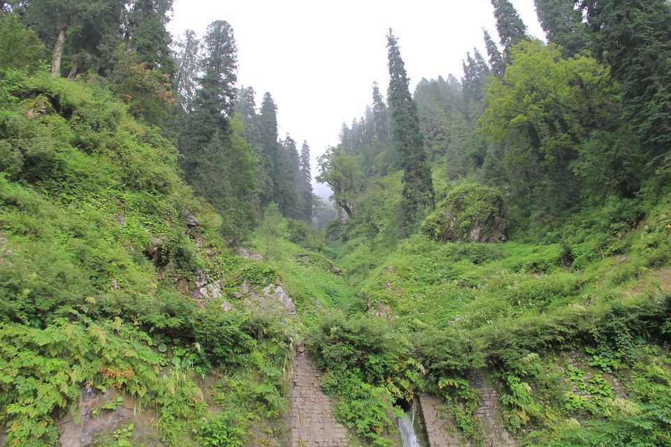 Photo of Narkanda – Through the trails of hills, rains, nature 31/49 by Nitin Sharma