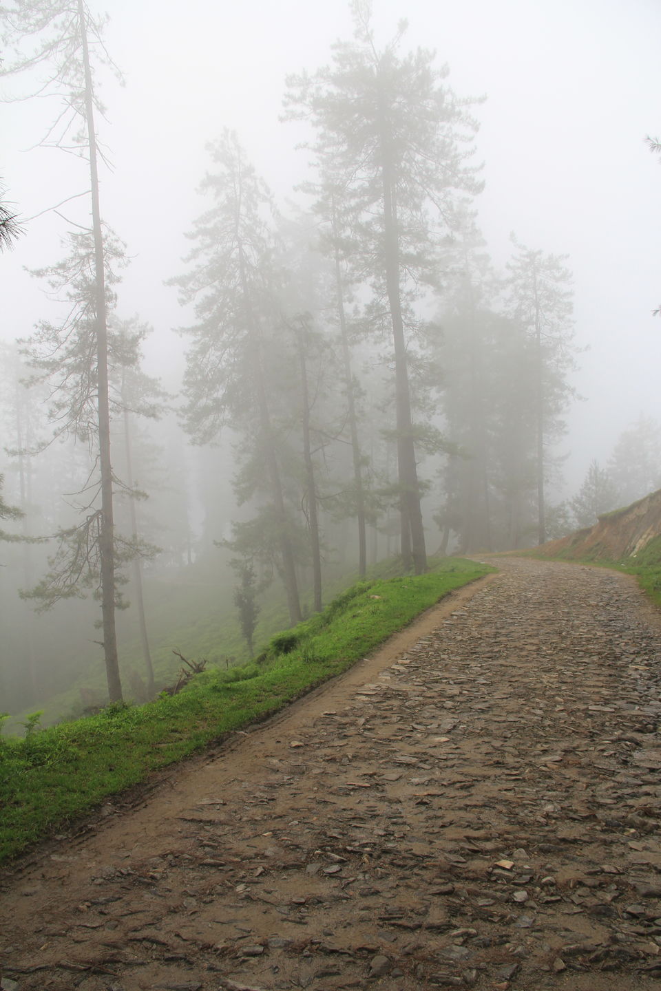Photo of Narkanda – Through the trails of hills, rains, nature 32/49 by Nitin Sharma